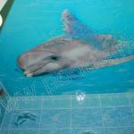 Натяжные потолки в ванных комнатах